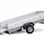 STEMA REX 25
