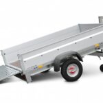 STEMA REX 21
