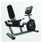 Life Fitness Recumbent Lifecycle Club Series Plus(Ausstellungsstück)