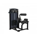 Taurus Back Extension IT95